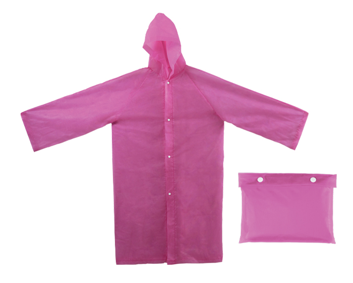 TT679- ROSA