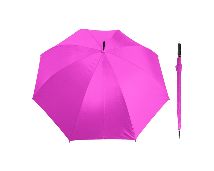 TT077-ROSA