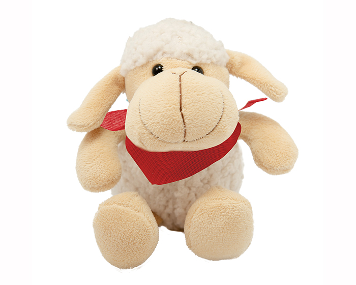 TT360 - SHAUN