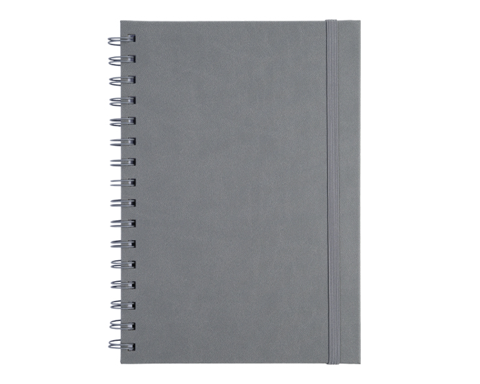 TT1209-GRIS